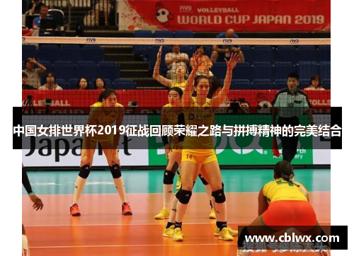 中国女排世界杯2019征战回顾荣耀之路与拼搏精神的完美结合