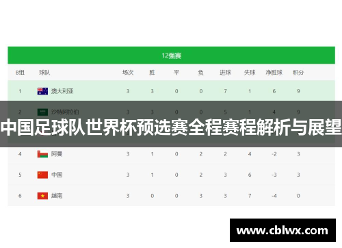 中国足球队世界杯预选赛全程赛程解析与展望