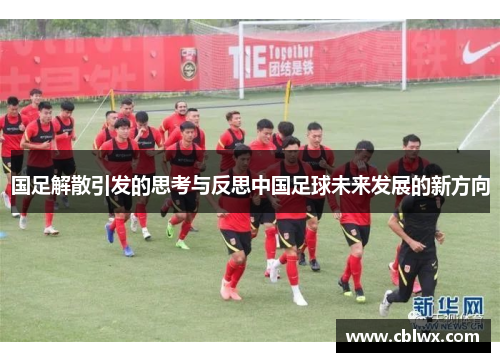 国足解散引发的思考与反思中国足球未来发展的新方向