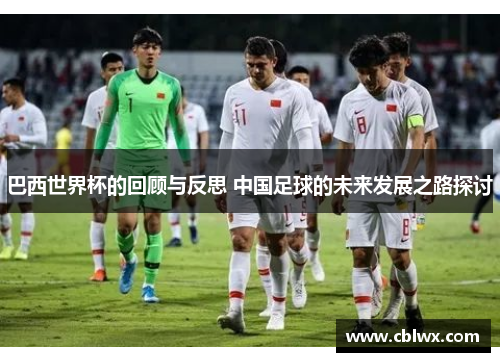 巴西世界杯的回顾与反思 中国足球的未来发展之路探讨