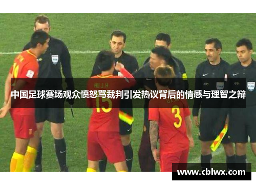 中国足球赛场观众愤怒骂裁判引发热议背后的情感与理智之辩